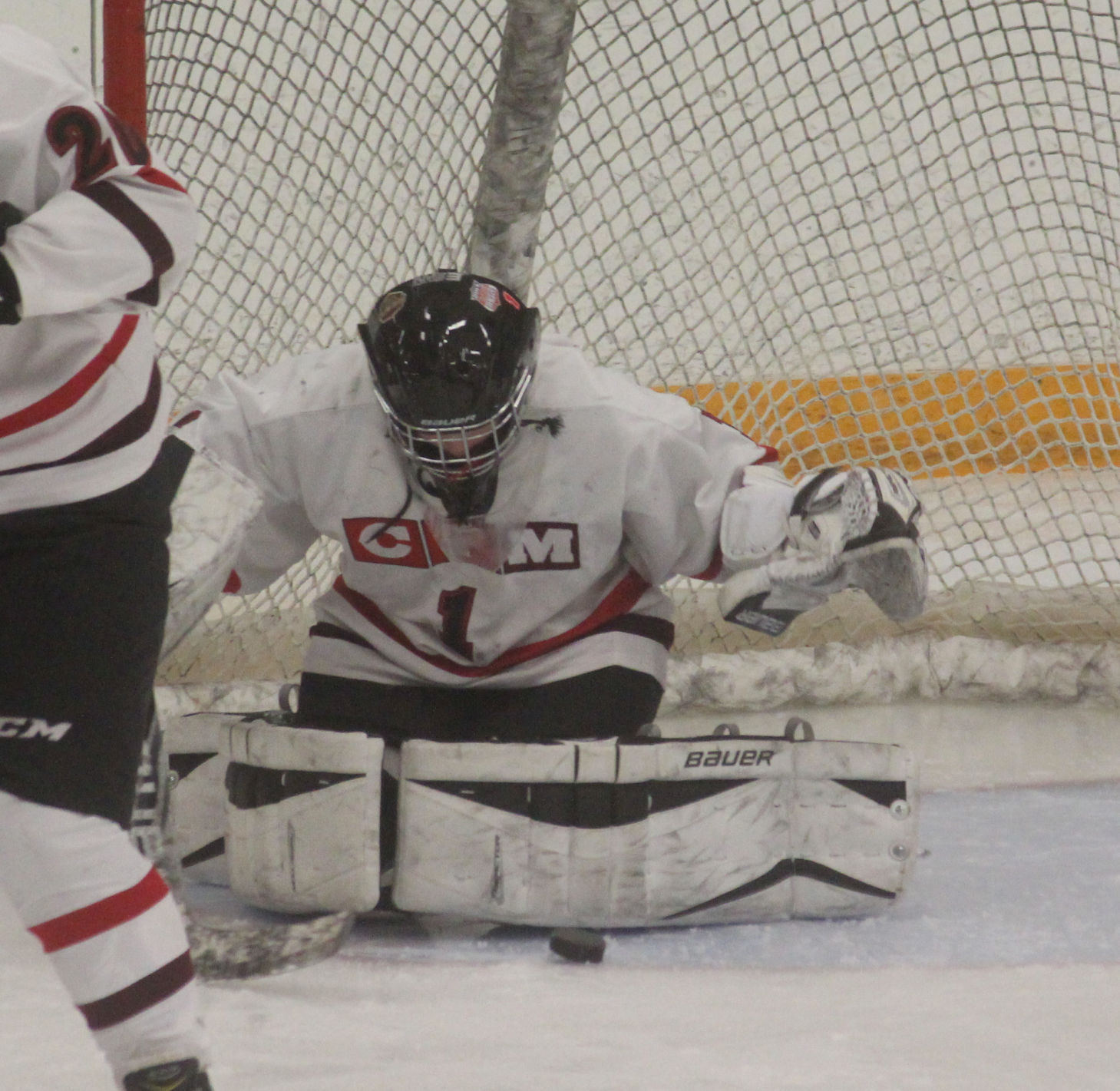 Chi-Hi/Menomonie girls hockey vs Appleton United at Eau Claire 12-28-17